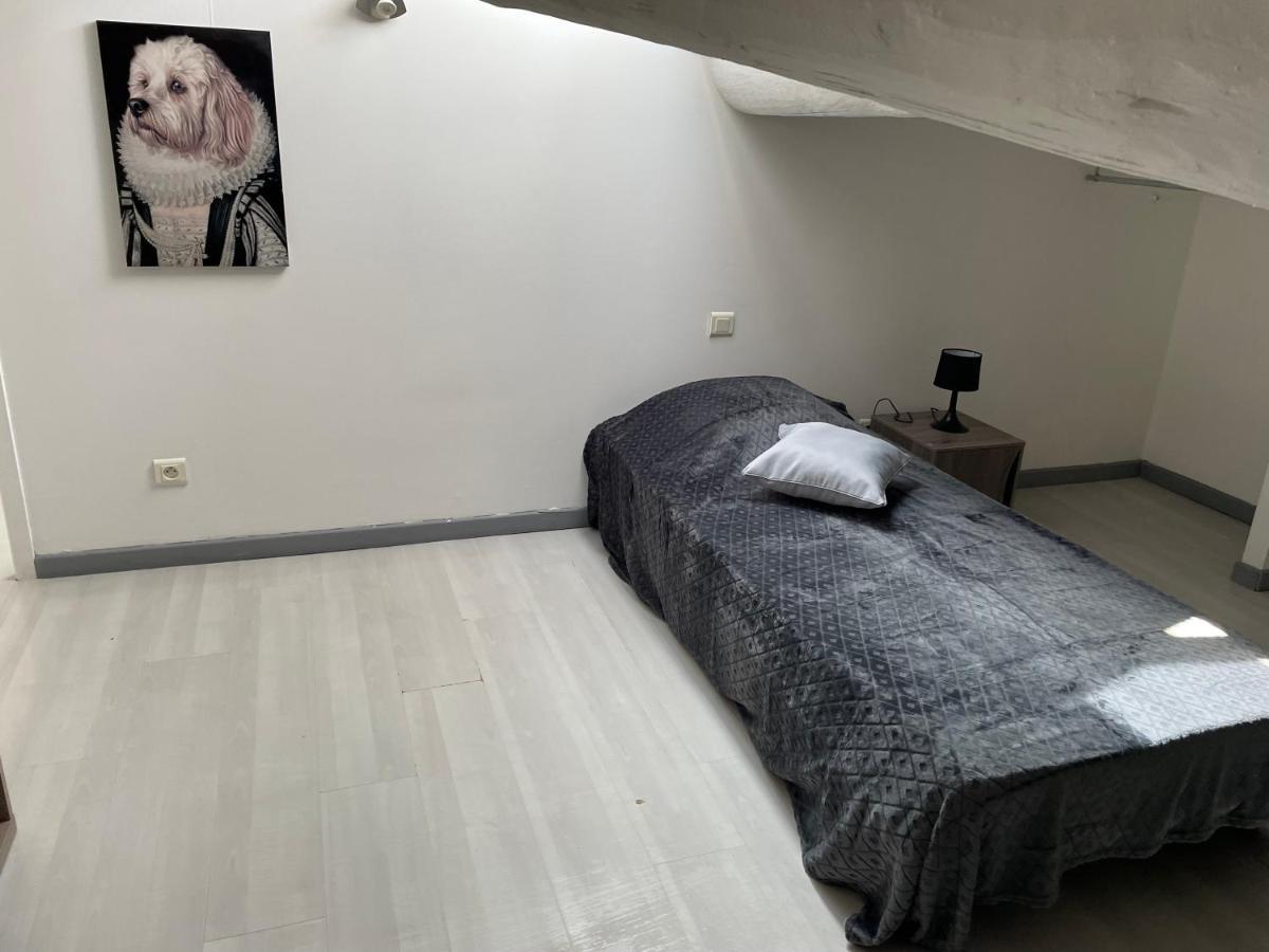 Appartement Des Penitents Saintes-Maries-de-la-Mer Eksteriør billede